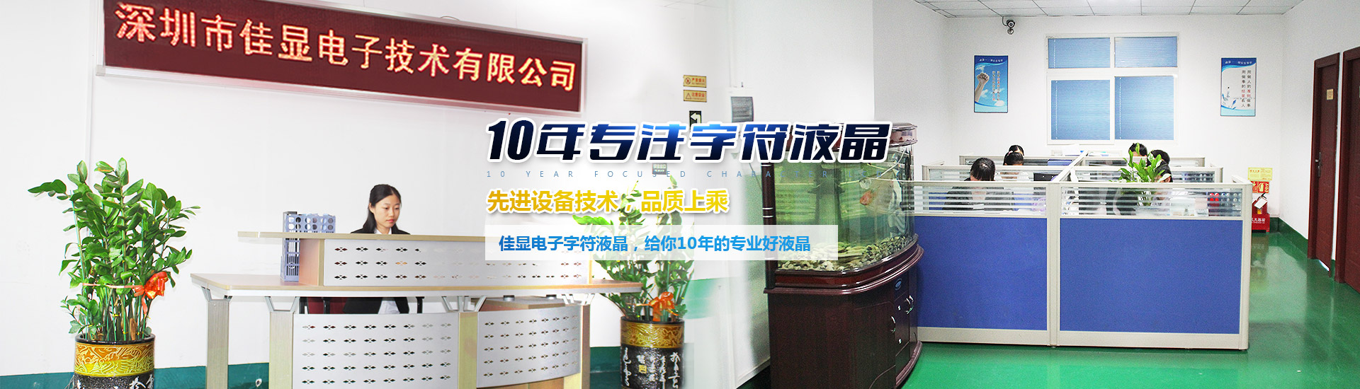 10年專注字符型液晶